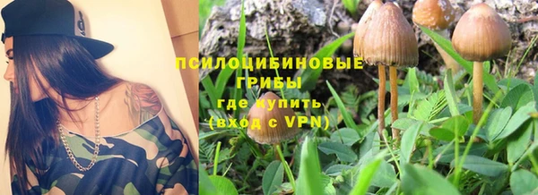 мдпв Баксан