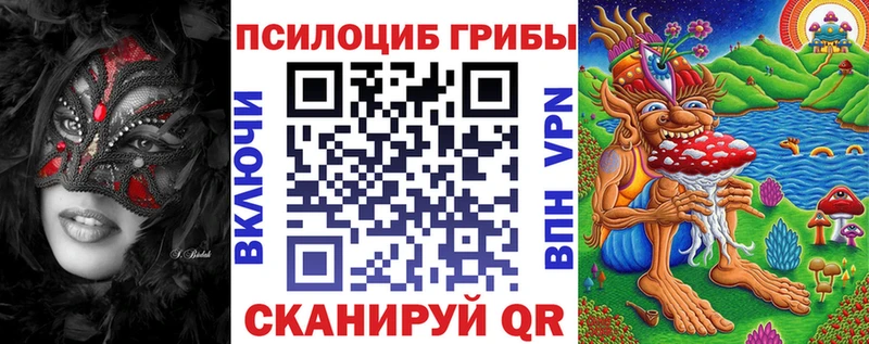 ссылка на мегу как зайти  Белая Холуница  Псилоцибиновые грибы Cubensis 